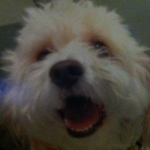 Meet your Posher, Kerry